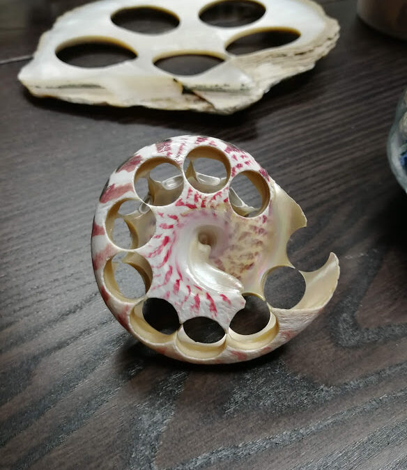Bottoni con carattere – Beyond Linneo